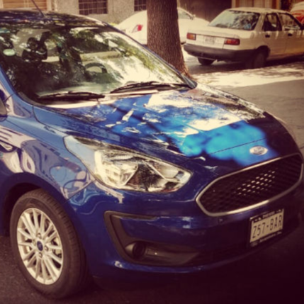 ACSES PATRULLA